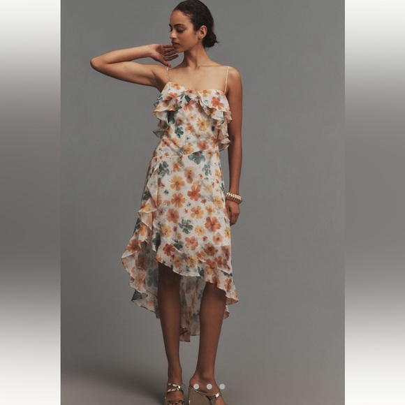 Anthropologie Dresses & Skirts - Sleeveless Asymmetric Ruffled Midi Dress XS